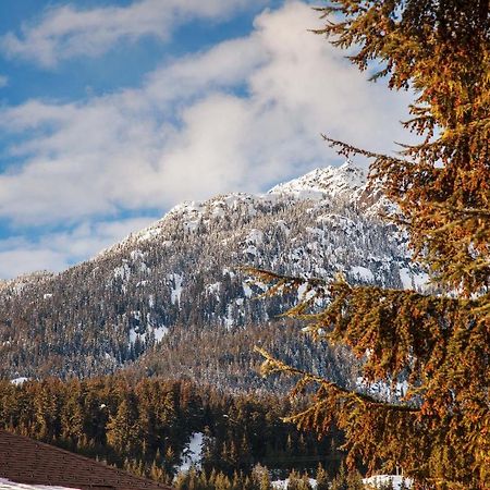 Updated Whistler Creek Studio With Parking Esterno foto